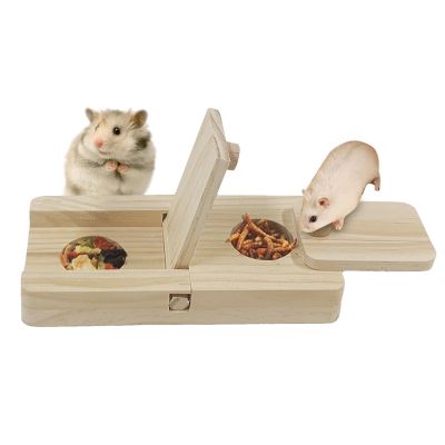 Guinea Pig Foraging Puzzle Toy