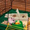 Guinea Pig Foraging Puzzle Toy view 2