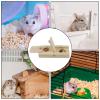 Guinea Pig Foraging Puzzle Toy view 4