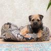 Rosewood x Morris & Co. Acanthus Box Bed for Dogs, Khaki view 2
