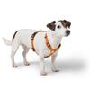 Tripoli Harness (orange, XS-S) view 3