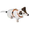Tripoli Harness (orange, XS-S) view 4