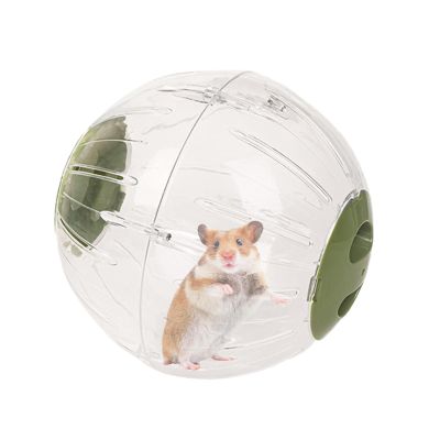 Transparent, Safe, Quiet Hamster Exercise Ball