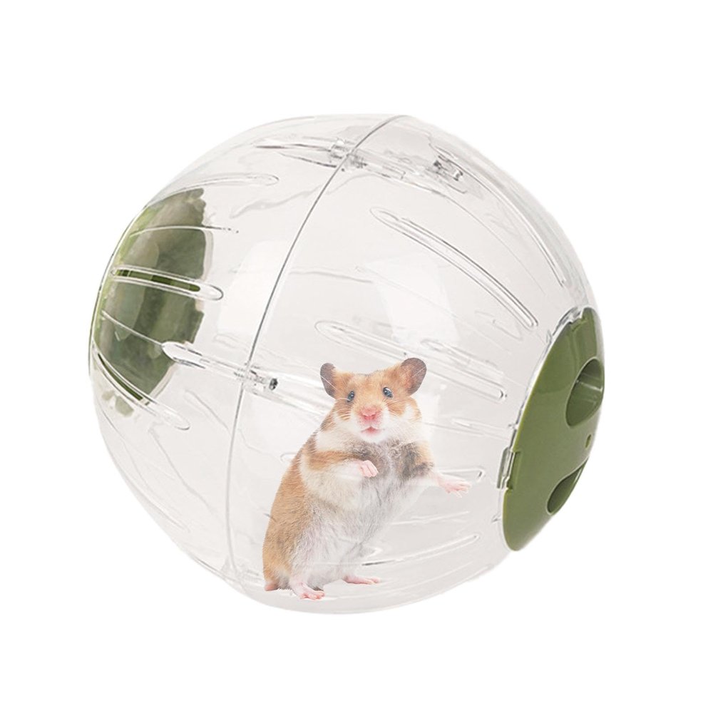 Transparent, Safe, Quiet Hamster Exercise Ball