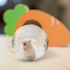 Transparent, Safe, Quiet Hamster Exercise Ball view 2