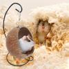 Fukamou Natural Coconut Hamster Hideout view 3