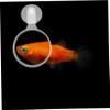 TOGEVAL Aquarium Magnifier with Suction Cup view 2