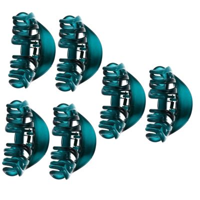 Healeved 6-Piece Large Hair Clips with Non-Slip Design for Thin and Thick Hair