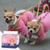 Dog Diapers for Females view 2