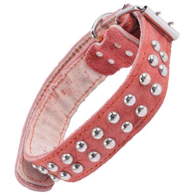 CORHAD Personalized Dog Collar