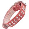 CORHAD Personalized Dog Collar view 1