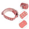 CORHAD Personalized Dog Collar view 2