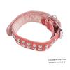 CORHAD Personalized Dog Collar view 3