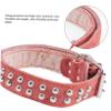 CORHAD Personalized Dog Collar view 4