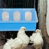 POPETPOP 2-Pack Plastic Pigeon Feeders with Secure Lids view 2