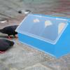 POPETPOP 2-Pack Plastic Pigeon Feeders with Secure Lids view 4