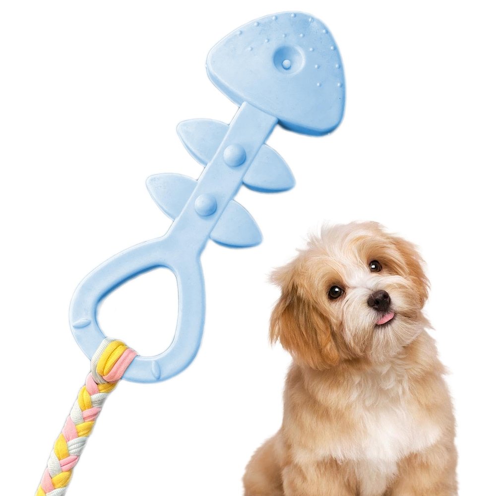 Durable Dog Chew Toy for Aggressive Chewers