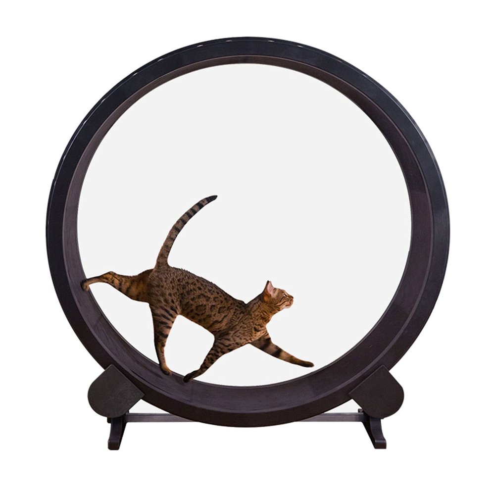 GLJTUO Cat Treadmill