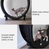 GLJTUO Cat Treadmill view 2