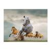 203 x 152 cm Wild Animal Horse Pattern Fleece Blanket view 1