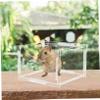BELLIFFY Acrylic Feeding Station for Small Pets view 4