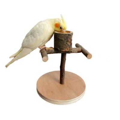 Bird Playground with Perches and Food Bowl