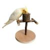 Bird Playground with Perches and Food Bowl view 1