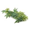 BSTCAR Aquarium Decoration Green Artificial Plant with Suction Cup view 2