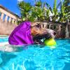 Dog Rain Hat | Pet Bathing Cap for Daily Use view 2