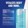 Red Bull Energy Drink, Iced Vanilla Berry, Iced Edition view 2