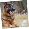 CORHAD 20-Piece Dog Training Scent Training Kit view 3