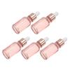 Mikinona 15 mL Empty Glass Dropper Bottles, 5-Pack view 1