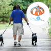 Cat Harness: Breathable Adjustable Vest Harness view 3