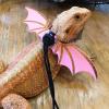 Portable Bearded Dragon Harness and Leash Set view 2