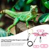 Portable Bearded Dragon Harness and Leash Set view 4