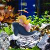 ARIOU Adjustable Floating Diver Aquarium Ornament view 3