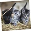 BCOATH Halloween Cat Toy - 2 Pack view 2