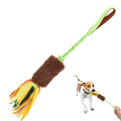 Dog Toy | Interactive Chew Rope for Dogs with Squeaker
