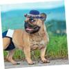 CORHAD Dog Hat view 3