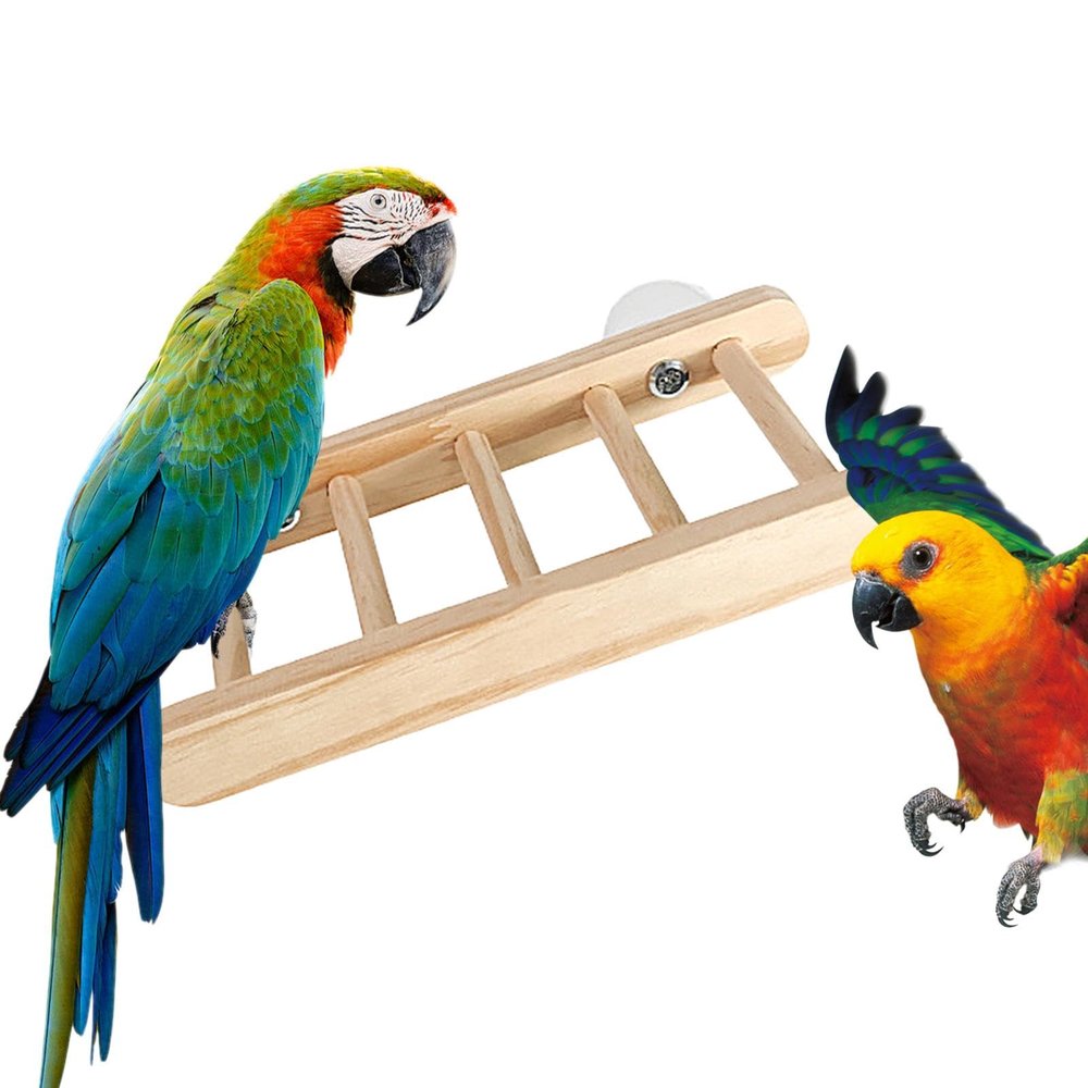 Foldable Bird Climbing Ladder