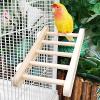 Foldable Bird Climbing Ladder view 2