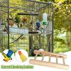 Foldable Bird Climbing Ladder view 3