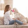 PETCUTE Dog Muzzle, Breathable Safety Muzzle with Adjustable Strap for Small, Medium & Large Dogs, Helps Prevent Biting, Chewing and Barking view 2