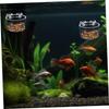 Milisten Aquarium Plant Holder with Splash-Proof Design - 4 Pieces view 4