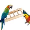 Bird Cage Ladder view 1