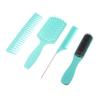 Mikinona 4-Piece Scalp Hair Comb and Brush Set, Wet and Dry Styling, Green Plastic Box Kit view 1