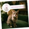 Automatic PP Pet Feeder for Cats view 4