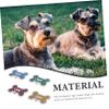 Round Alloy Dog Tag with Engraving for Collar view 4