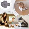 SVCEQZE Cat Lick Mat | Silicone Puppy Lick Pad in Fish Shape view 4