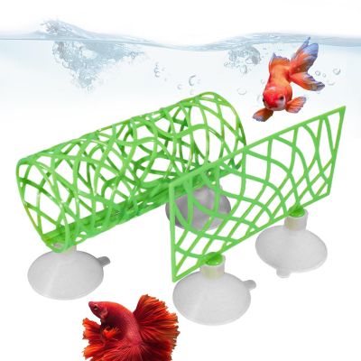 Betta Tunnel Swim Tube